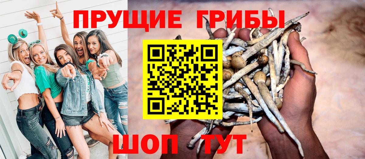 Галлюциногенные грибы прущие грибы Ейск