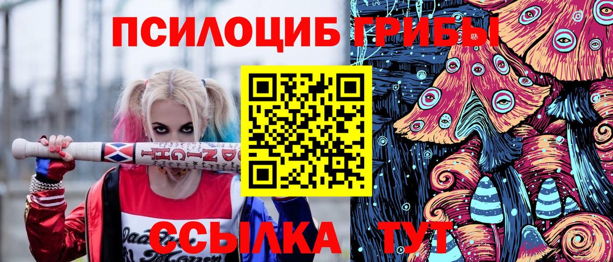 Псилоцибиновые грибы GOLDEN TEACHER  Псилоцибиновые грибы Magic Shrooms  Вход с VPN  Ейск 