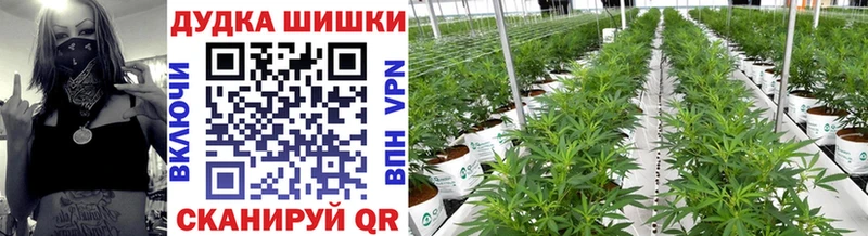 Шишки марихуана White Widow где купить наркоту Ейск
